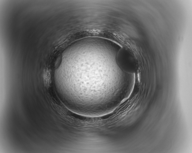 X0000096411347200801311344