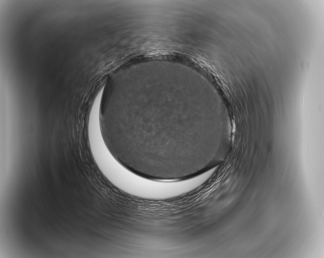 X0000096411348200801311344