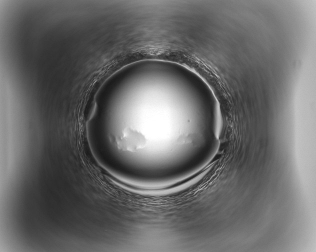 X0000096411349200801311344