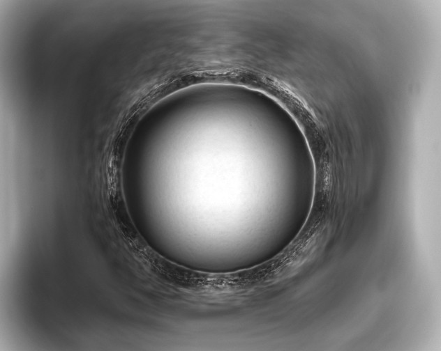 X0000096411350200801311344