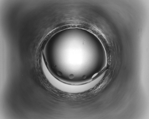 X0000096411352200801311344