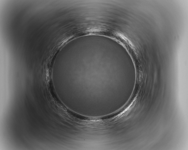 X0000096411353200801311344