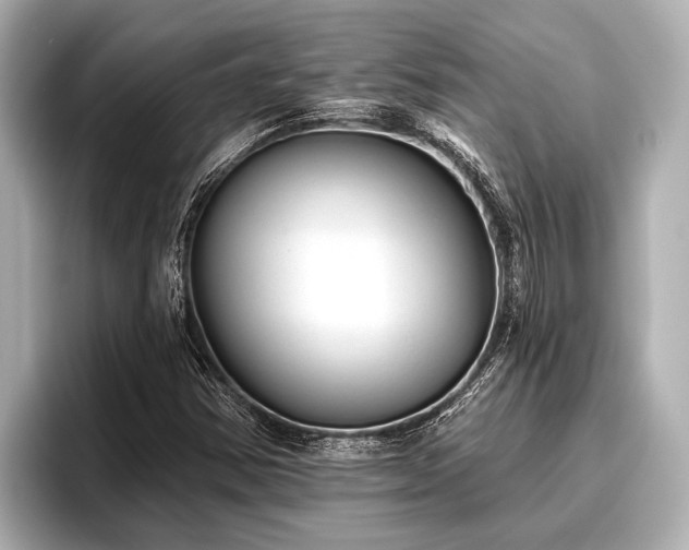 X0000096411354200801311344