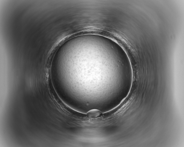 X0000096411355200801311344