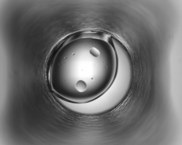 X0000096411356200801311344