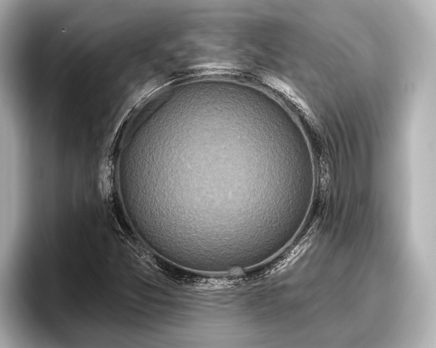 X0000096411357200801311344