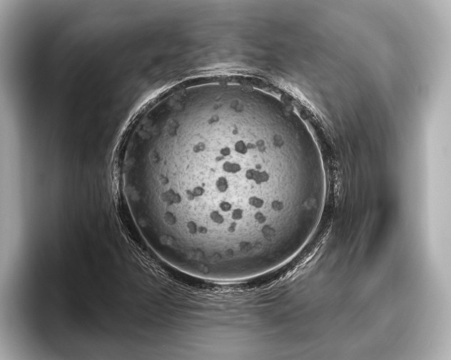 X0000096411358200801311344