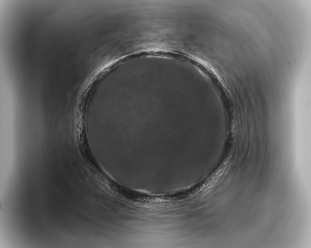 X0000096411359200801311344