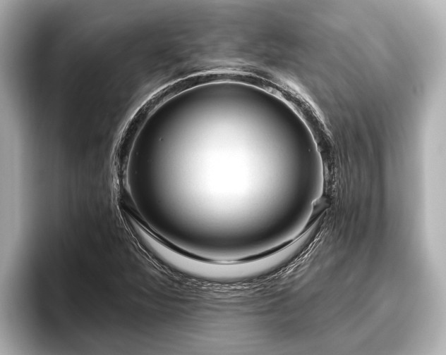 X0000096411360200801311344