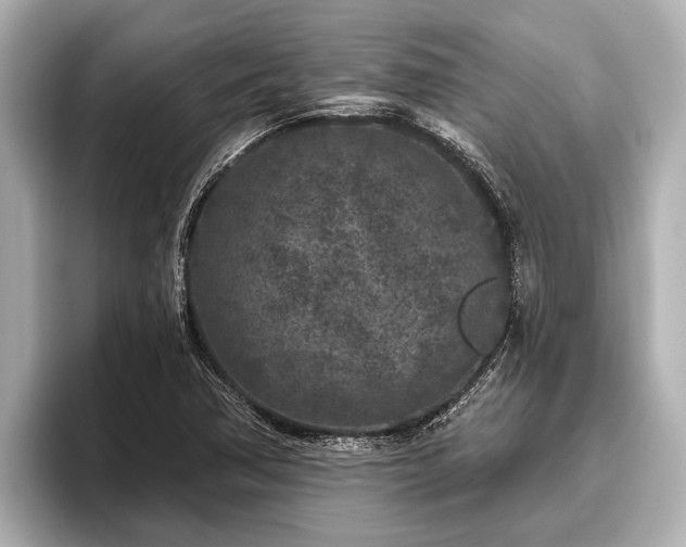 X0000096411362200801311344