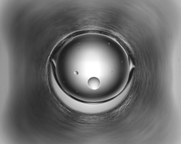 X0000096411364200801311344