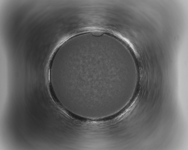 X0000096411365200801311344