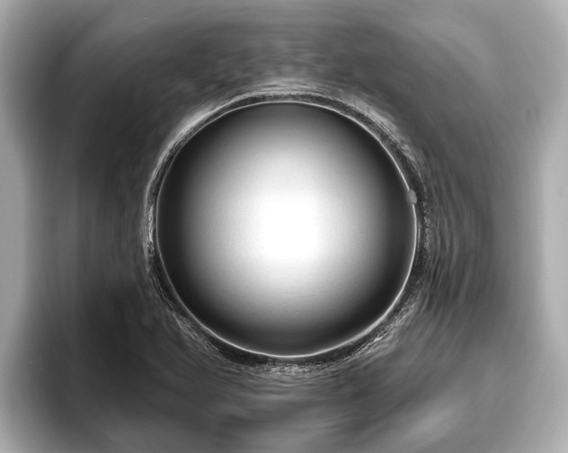 X0000096411366200801311344