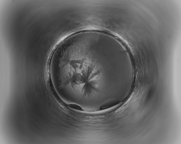 X0000096411367200801311344