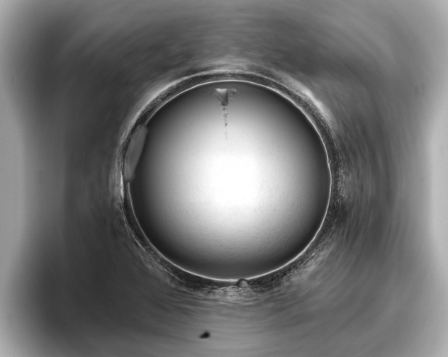X0000096411368200801311344