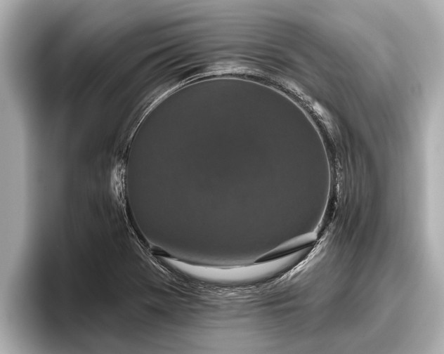 X0000096411369200801311344