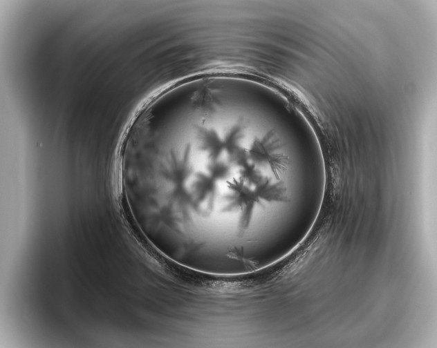 X0000096411371200801311344