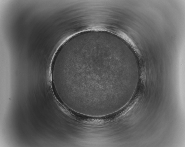 X0000096411372200801311344