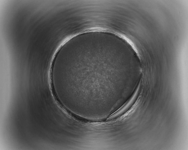 X0000096411373200801311344