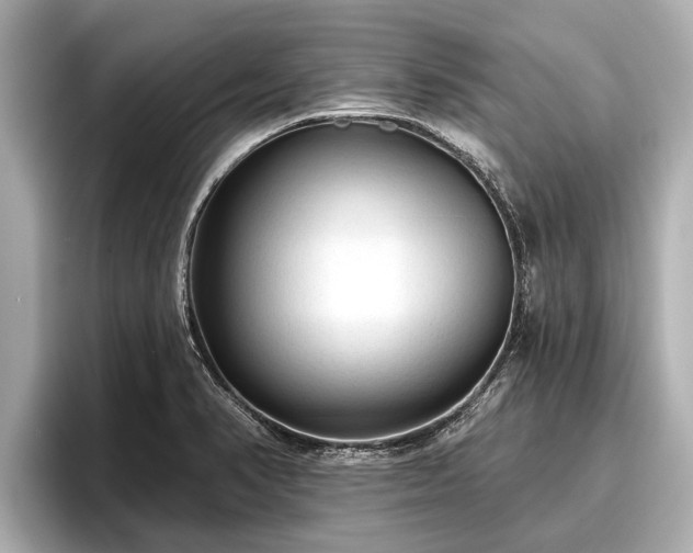 X0000096411374200801311344