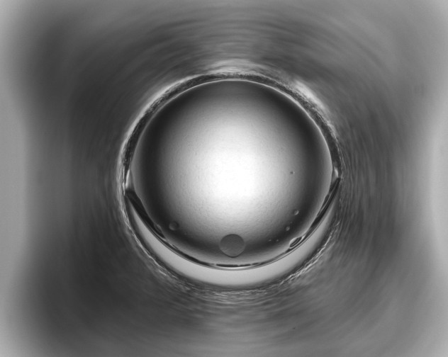 X0000096411376200801311344