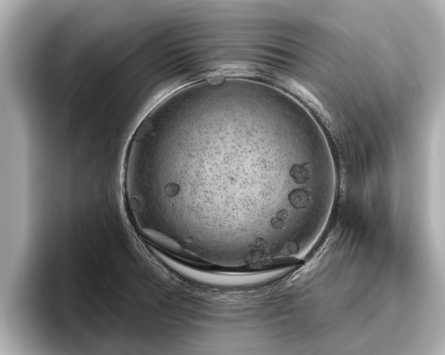 X0000096411378200801311344