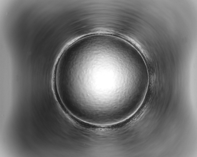 X0000096411379200801311344