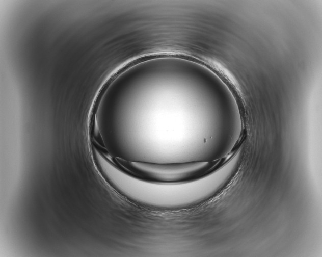 X0000096411380200801311344