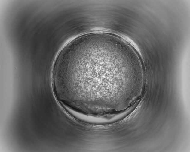 X0000096411381200801311344