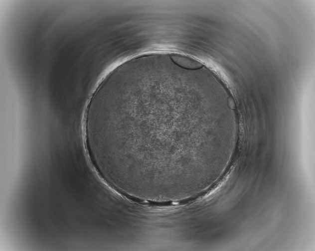 X0000096411382200801311344
