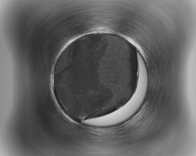 X0000096411383200801311344