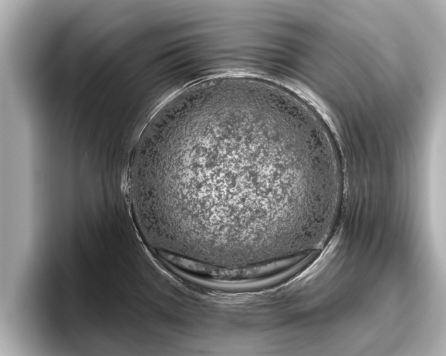 X0000096411385200801311343