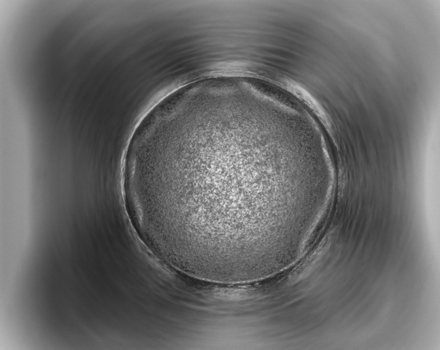 X0000096411386200801311343
