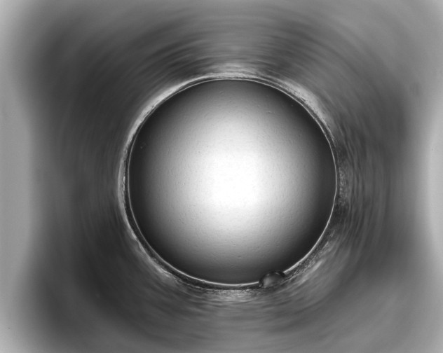 X0000096411387200801311343