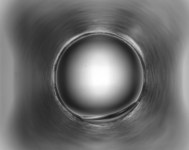 X0000096411388200801311343