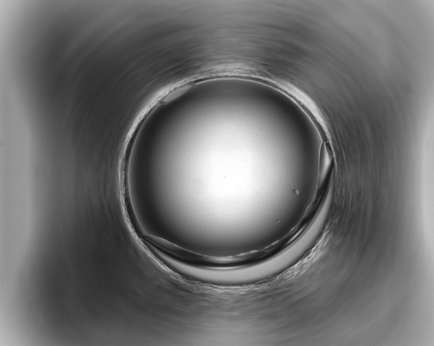 X0000096411389200801311343