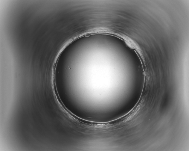 X0000096411390200801311343