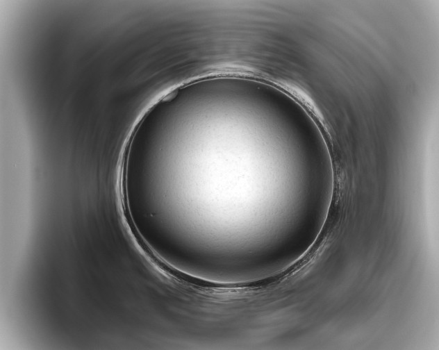 X0000096411391200801311343