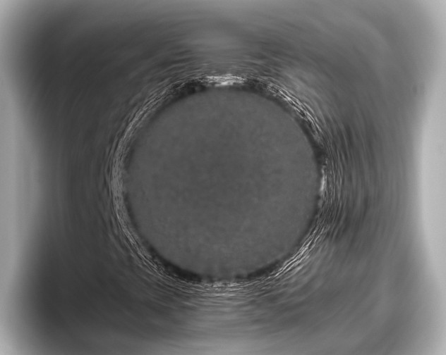 X0000096411393200801311343