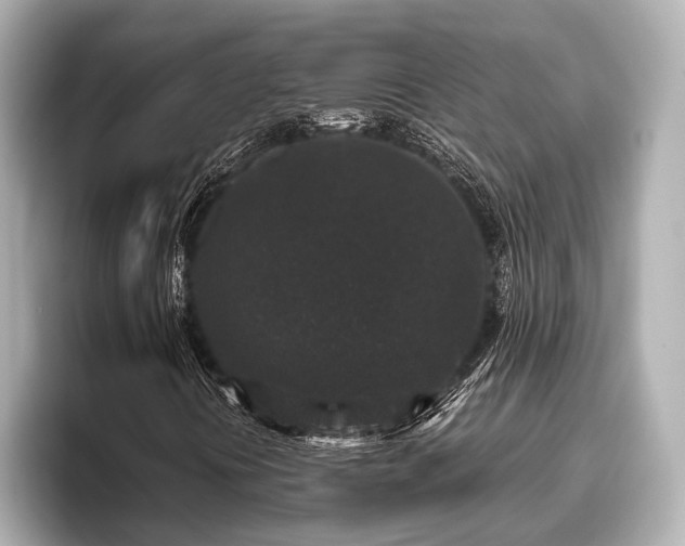 X0000096411394200801311343