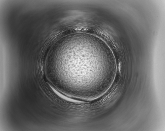 X0000096411396200801311343