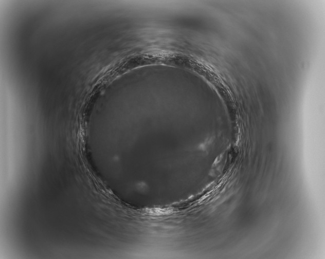 X0000096411397200801311343