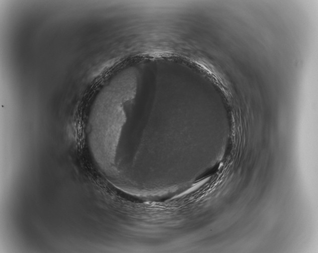 X0000096411398200801311343