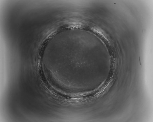 X0000096411399200801311343