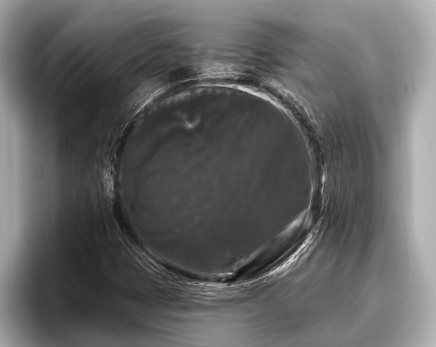 X0000096411401200801311343
