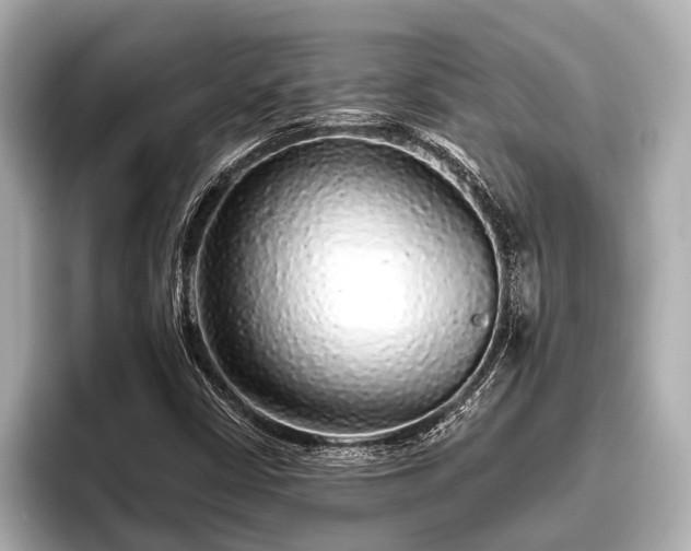 X0000096411402200801311343