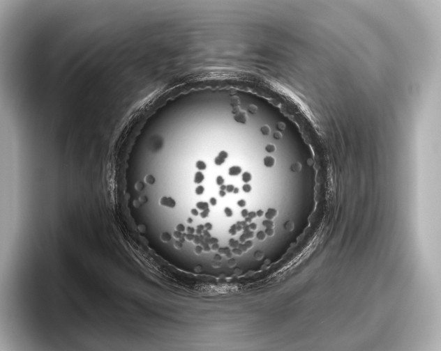 X0000096411403200801311343