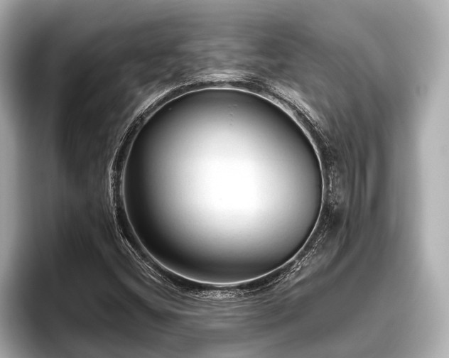 X0000096411404200801311343