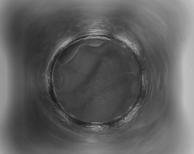 X0000096411405200801311343