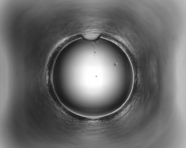 X0000096411406200801311343